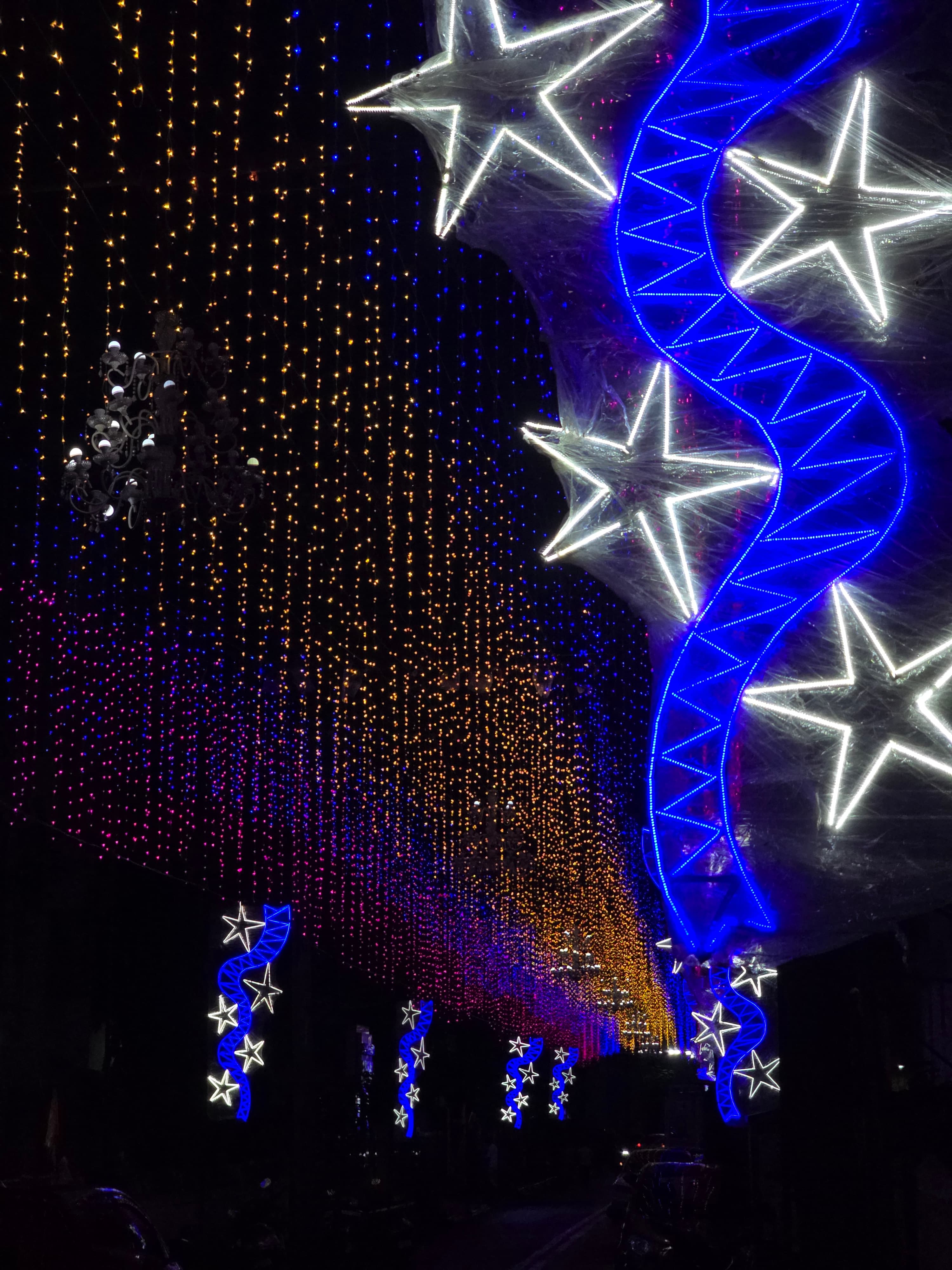 Bombay Is Blinging — Garodia Suite 2